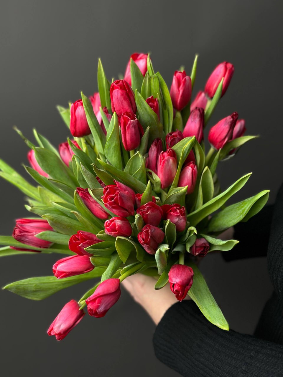 Красные тюльпаны