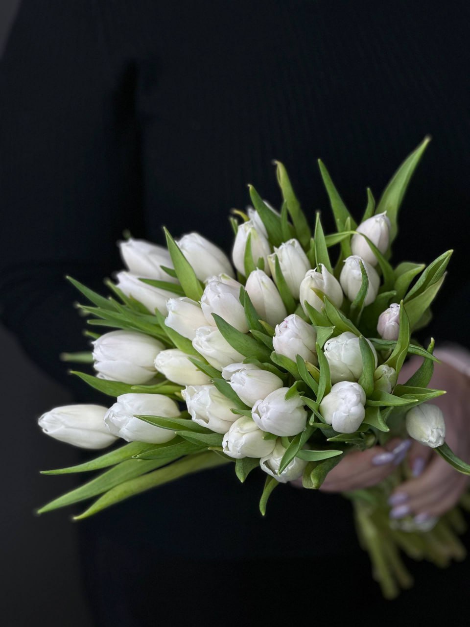 Белые тюльпаны