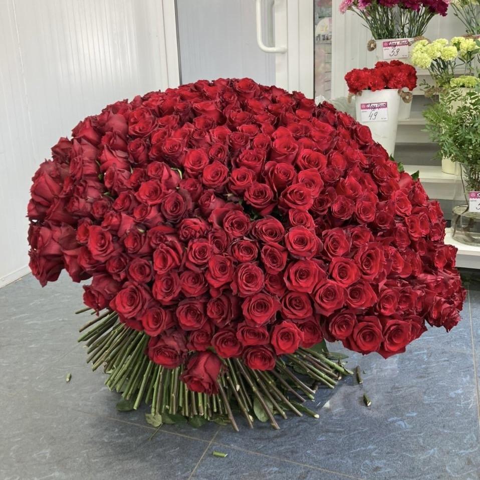 Букеты из красных роз 80 см (Эквадор) (код товара  16968orbng)