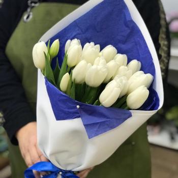 Белые тюльпаны 23 шт. № - 28182o