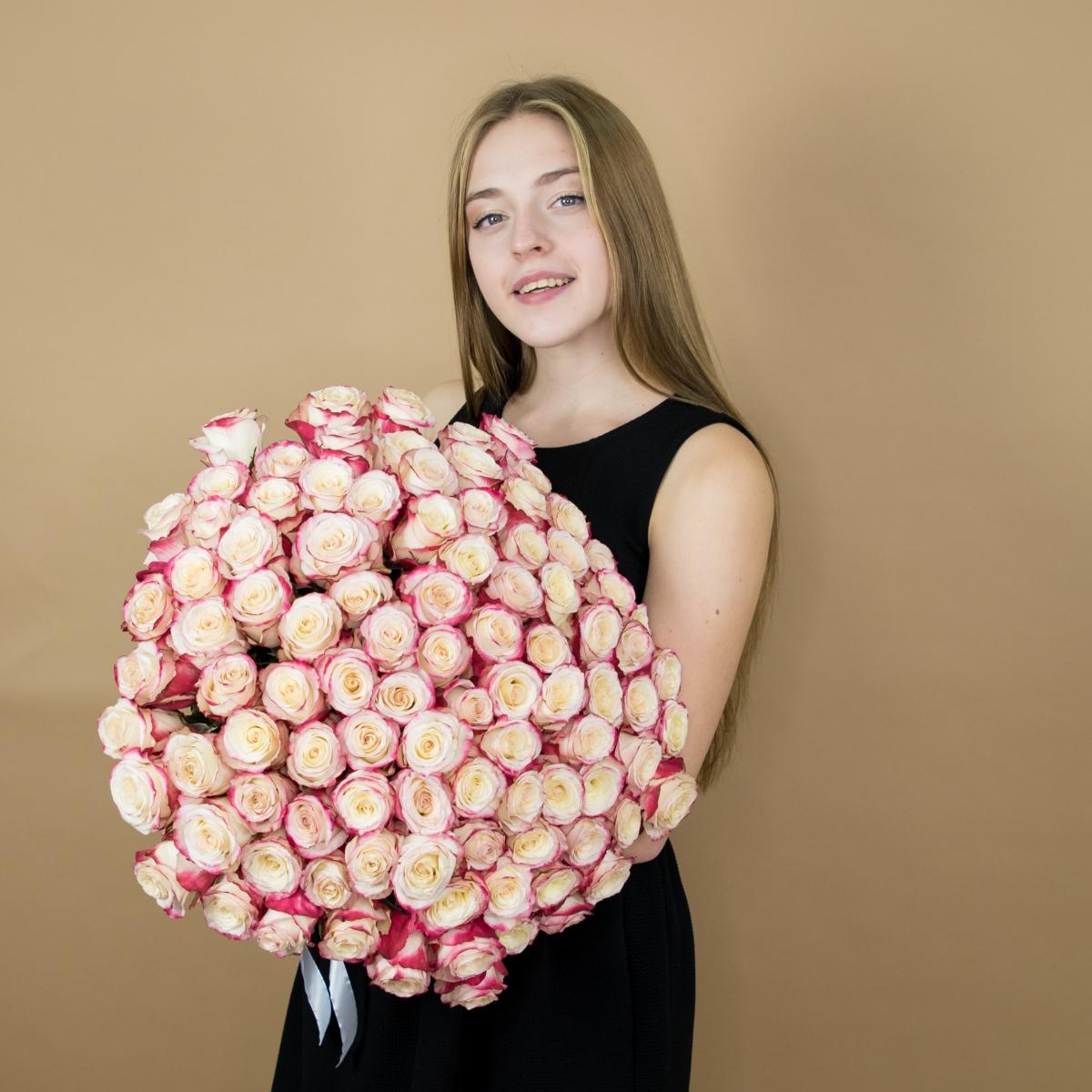 Розы красно-белые 75 шт 40 см (Эквадор) Артикул  7462o
