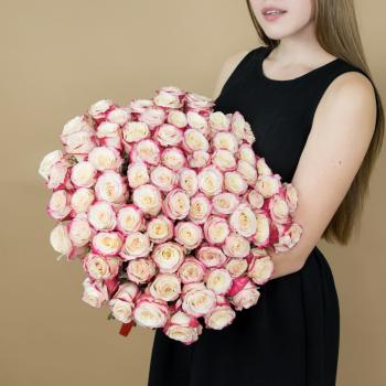 Розы красно-белые 75 шт 40 см (Эквадор) Артикул  7462o